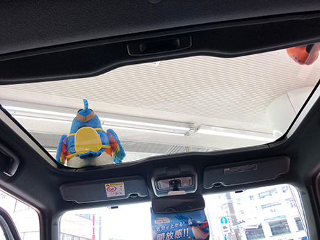 タフト スカイフィールトップ